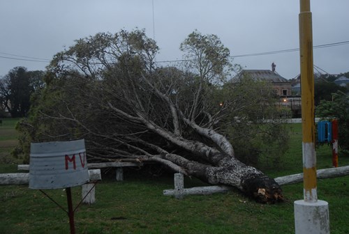 tormenta (6)