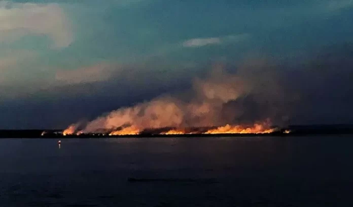 fuego